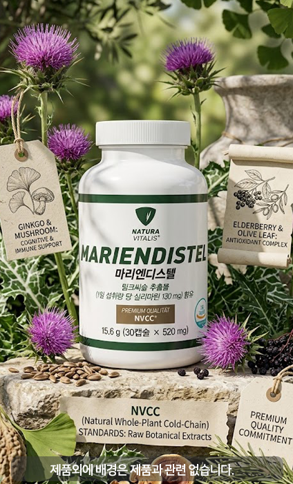 마리엔디스텔