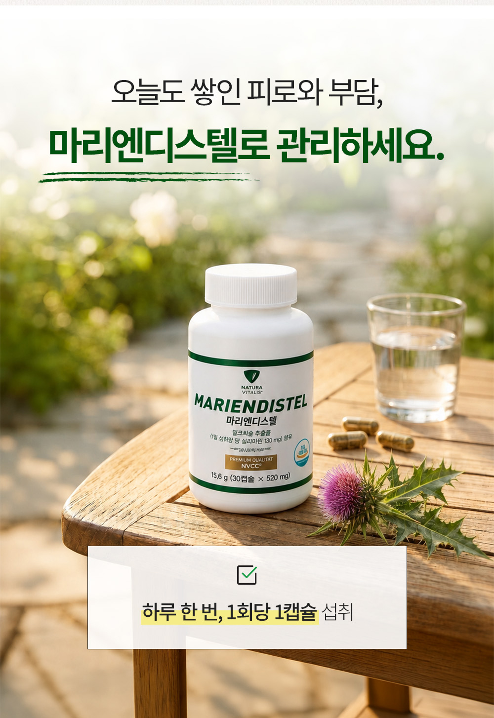 마리엔디스텔 상세 이미지 12