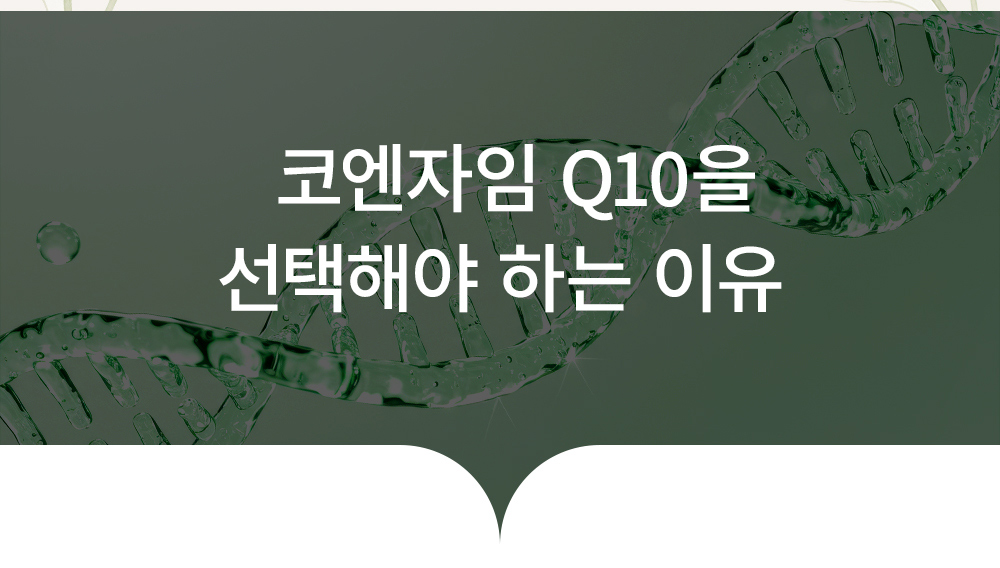 코엔자임 Q10 상세 이미지 4