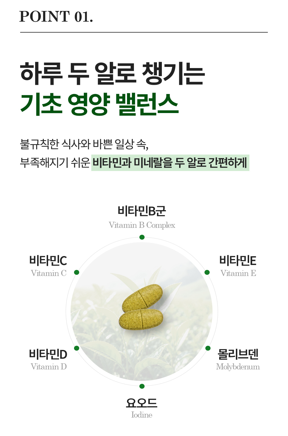 프리미엄 멀티 포뮬라 상세 이미지 5
