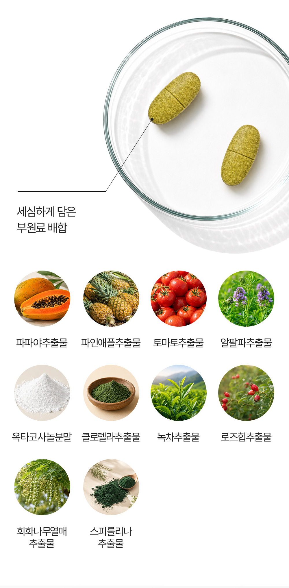 프리미엄 멀티 포뮬라 상세 이미지 10
